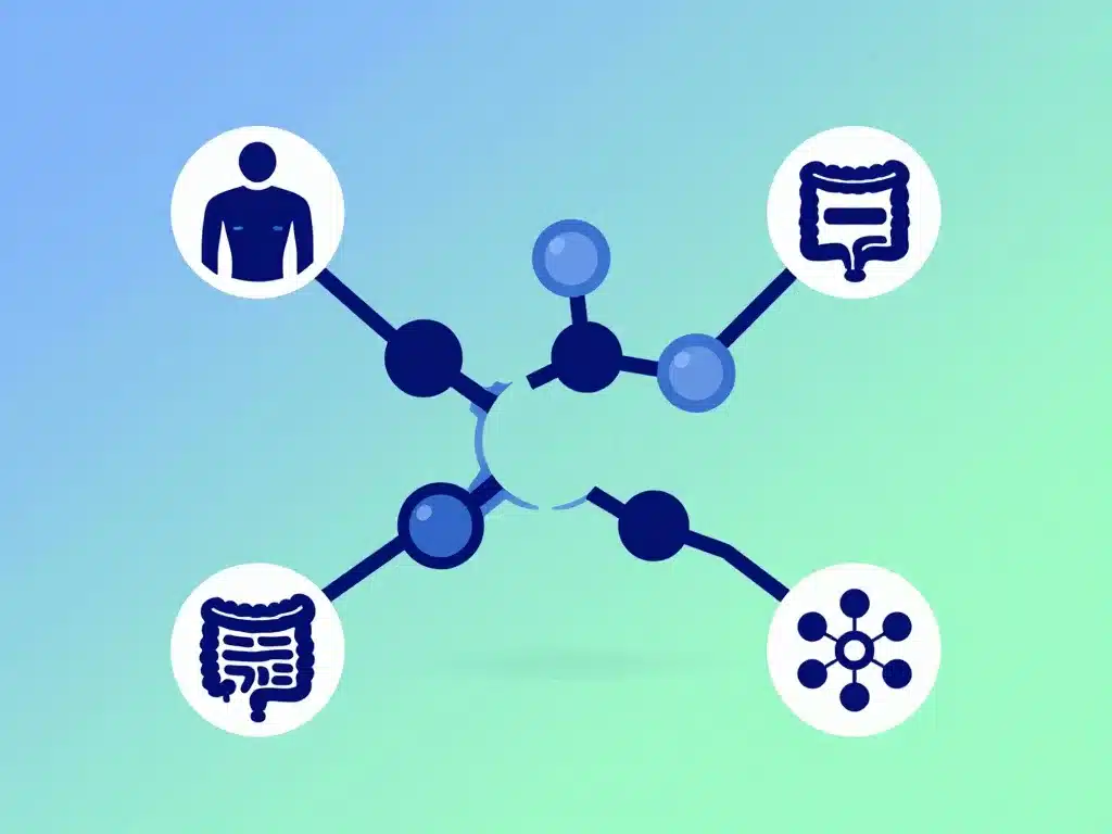 Schéma amino acid L glutamine fonctions muscles intestin immunité