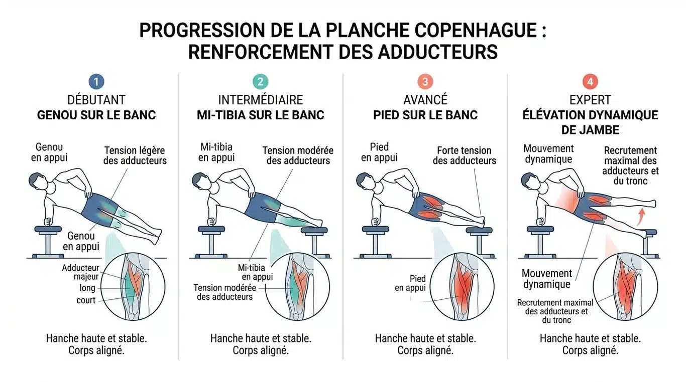 Infographie des niveaux de progression de la planche de Copenhague