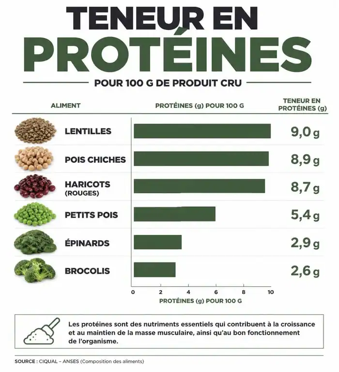 Infographie comparative des légumes riches en protéines et leur teneur en grammes pour 100g