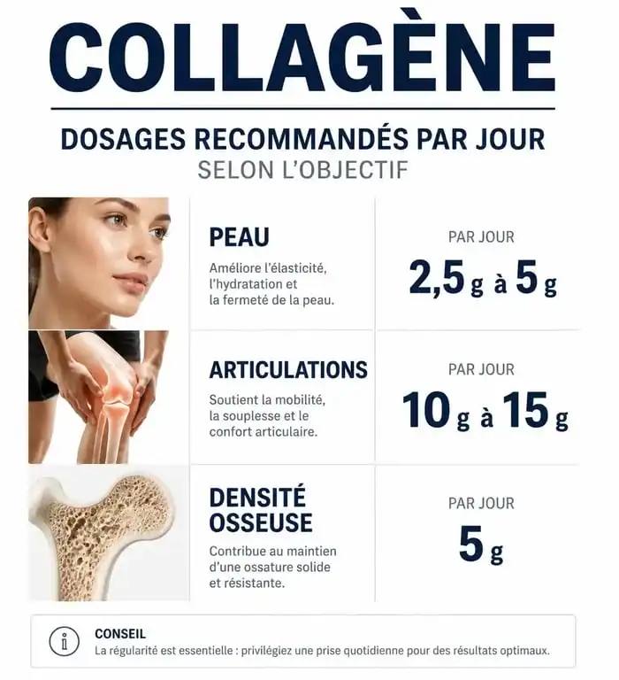 Infographie des dosages recommandés de collagène par jour selon les objectifs de santé