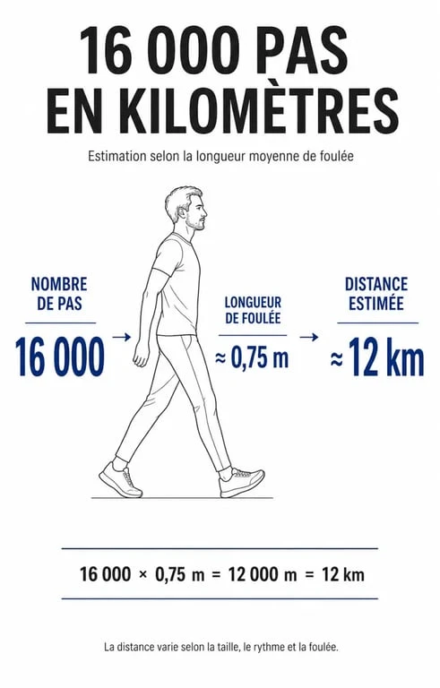 Infographie explicative montrant la conversion de 16 000 pas en km selon la longueur de foulée