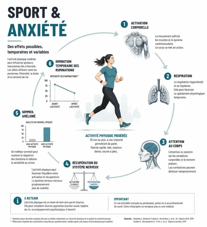 Infographie sur le lien entre sport et anxiété et les mécanismes d’apaisement